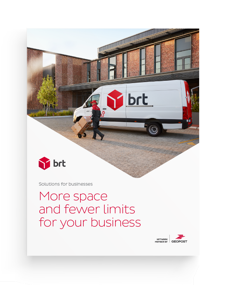 Business brochure preview